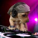 NST-EDM dành cho những phi công thực thụ !