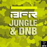 BFR JUNGLE&DNB (love-and-hate-mix)
