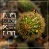 Polpota Mixtape (Febrero 2015)