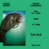 Radio Schmadio Nr.5 - Entschleunigungs Spezial