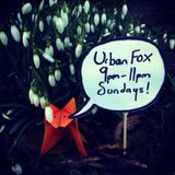 Urban Fox - 24/02/13 - Hour 1.