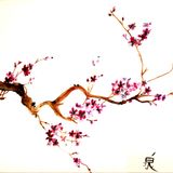 The Wu Li Corp. 3 : The Sakura tree