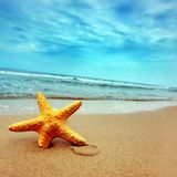 Beri music6- Summer edition