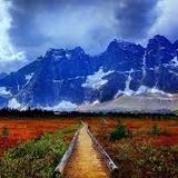 Chris Sim - The Hills Are Alive Mix