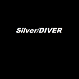 Silver/Diver (Live at Stansbury Clubhouse 02/21/14)