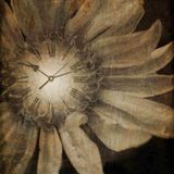 Pav Parrotte - Timekeepers Mix