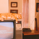 Nothing on TV
