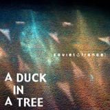 A Duck in a Tree 2012-08-18 | Standing next to a Mountain