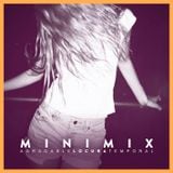 Paniko DJ || Agradable Locura Minimix 2013