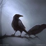 Frau von Welt & Nougat - die rabe lernt fliegen 2013