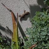 20190717_RM_SomEnxada #92 ............. Balanço 2019