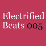 Electrified Beats 5 (2006)