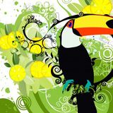 MY LATINARIUM - latin mix LF.005 - mar.2012