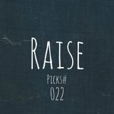 Raise Picks#022
