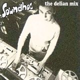 Soundhog - The Delian Mix : Radiophonics and Electrosoniks