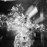 Tutu & Lucient // M I D I #01 // 13des2014