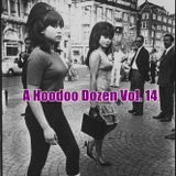 A Hoodoo Dozen Volume 14