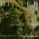 Space Garden - Crystal Clouds Top Tens 212
