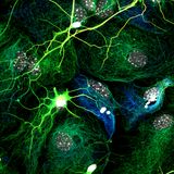 Trikoze - Glia@Glia Gathering, Romania-2014