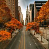 Healthy Helping Of House (live house DJ mix in NYC; 11.26.14)