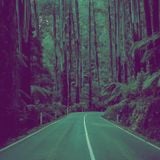 Dodo-Journey