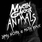 Mix Animals - Martin Garrix (J-Mix)