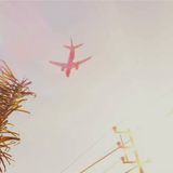 The Sweet Sounds Of Summer