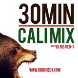 30 Min Cali Mix (March '13)