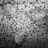 Appleyard Presents Cloak & Dagger Mixtape #2 (The Swarm)
