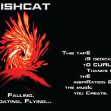 FISHCAT_Falling-Floating-Flying_A_HSøø2_Dedicated-to-CURLEY