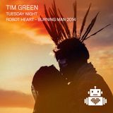 Tim Green - Robot Heart - Burning Man 2014