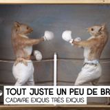 Tout Juste Un Peu de Bruit #1 - Cuivres Pacifiques
