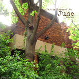 PSM035 - Paride Saraceni - June Mix 2013