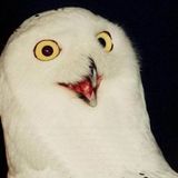 What The FLAC?!