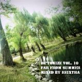 reixtra - de'tonize vol. 10