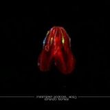 Minimized Podcast #023 - Lorenzo Boreal