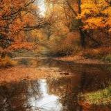 Javier Orlando - Autum 6