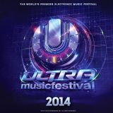 Dubfire - Live @ Ultra Music Festival Miami (USA) 2014.03.29.