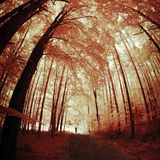 forever-autumn vol.1