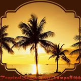 #166 ~ Tropical Sunset