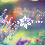 Into The Bloom
