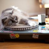 Deep Monday / Factory Pub / Saint-Pierre / La Réunion (01/09/2014)