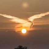 Legna - Bye 2014 ( Part 2 )