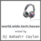 World Wide Tech House
