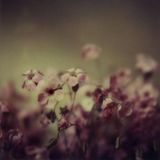 everybodylovessunshine-mix