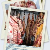 Barry Fell & Nick Yuill - Miscellaneous Meat