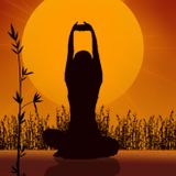 Namaste by Luc Forlorn (13 December 2014)