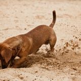 just keep diggin'