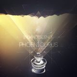 incandescence: Phoenicurus
