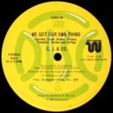 WE GOT OUR OWN THING - JOHNNY "D" DE MAIRO WKTU NY MIXSHOW